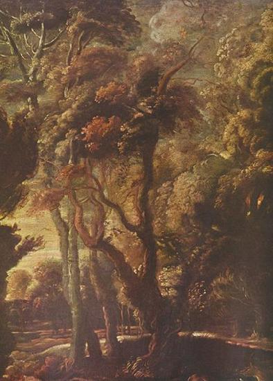 Peter Paul Rubens Jagd der Atalante oil painting image